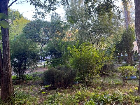 квартира по адресу Академика Янгеля ул. (Фрунзе), 58