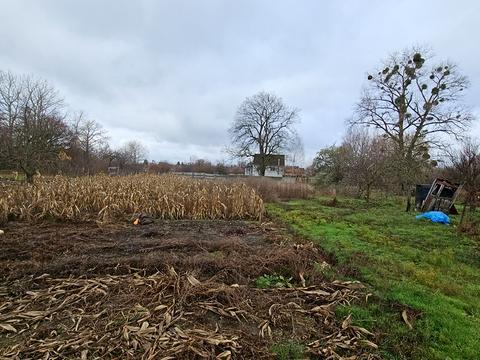 дом по адресу Козацька
