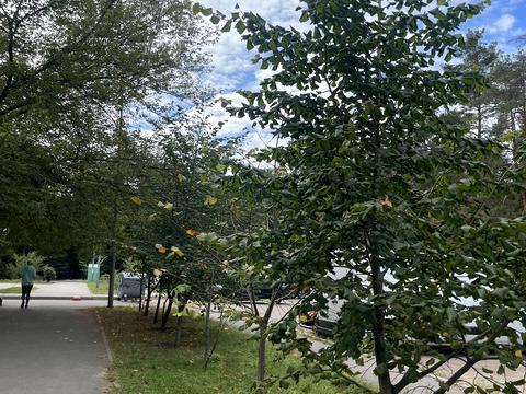 квартира по адресу Николая Винграновского ул., 2