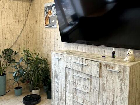 квартира по адресу Алана Шепарда ул. (Суворова), 34-А