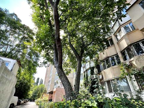 квартира по адресу Люстдорфская дорога ул., 13