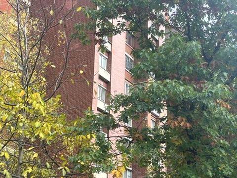 квартира за адресою Антоновича вул. (Горького), 162