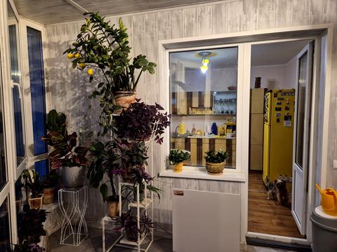 квартира за адресою Ясинуватський пров., 11