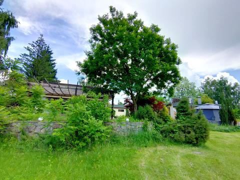 ділянка за адресою Озерна вул., 77