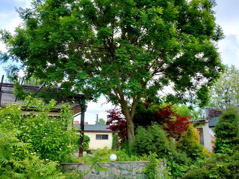 ділянка за адресою Озерна вул., 77