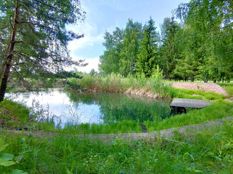 ділянка за адресою Озерна вул., 77