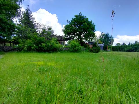 ділянка за адресою Центральна вул., 777