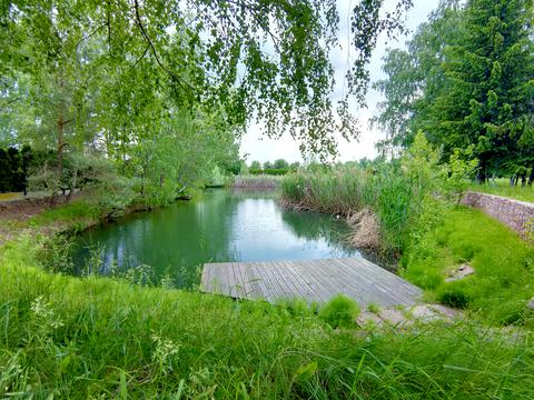 ділянка за адресою Центральна вул., 777