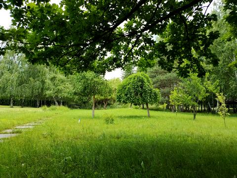 ділянка за адресою Центральна вул., 777