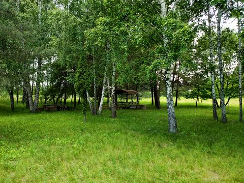 ділянка за адресою Центральна вул., 777