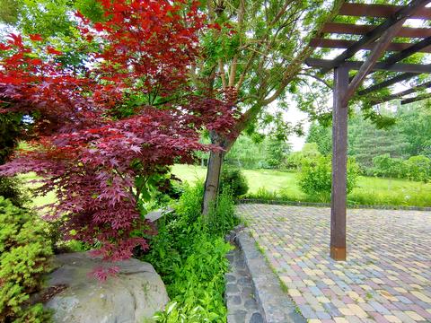 ділянка за адресою Центральна вул., 777