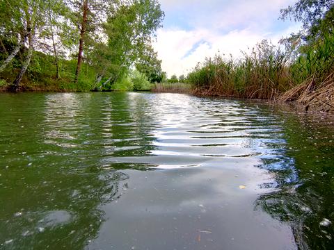 ділянка за адресою Центральна вул., 777