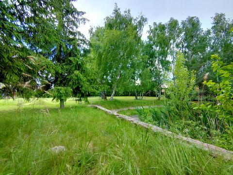 ділянка за адресою Центральна вул., 777