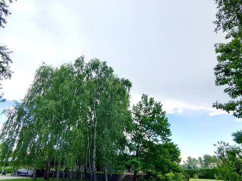 ділянка за адресою Центральна вул., 777