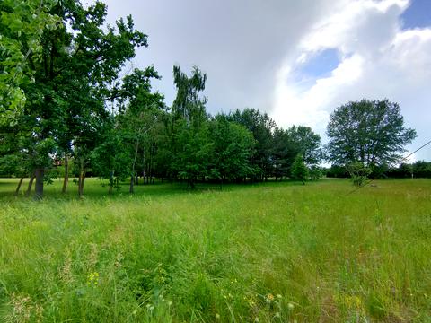 ділянка за адресою Центральна вул., 777