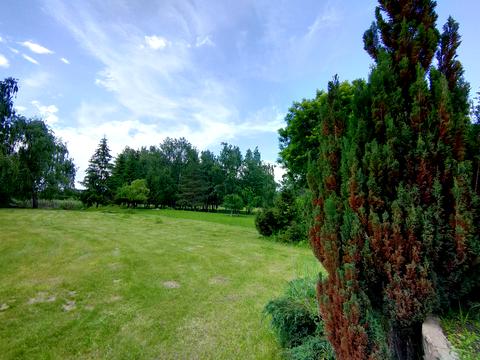 ділянка за адресою Центральна вул., 777