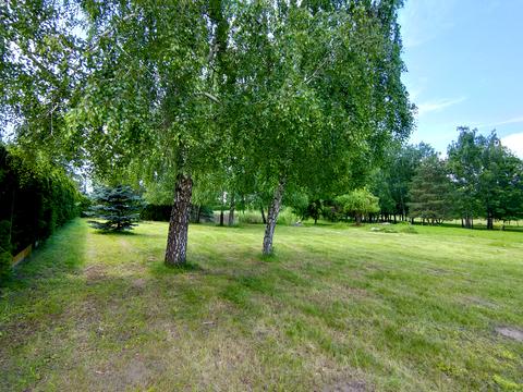 ділянка за адресою Центральна вул., 777