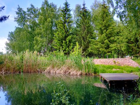 ділянка за адресою Центральна вул., 777