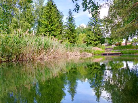 ділянка за адресою Центральна вул., 777