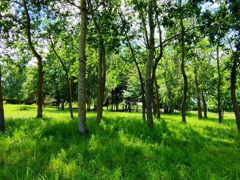 ділянка за адресою Центральна вул., 777