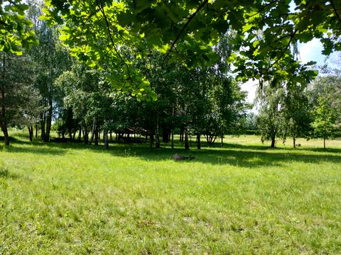 ділянка за адресою Центральна вул., 777