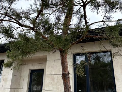 дом по адресу Богдана Хмельницкого ул.