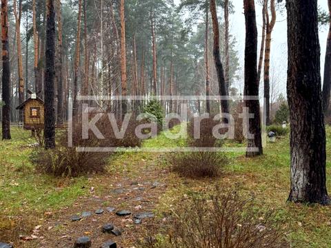 дом по адресу Киевская ул.