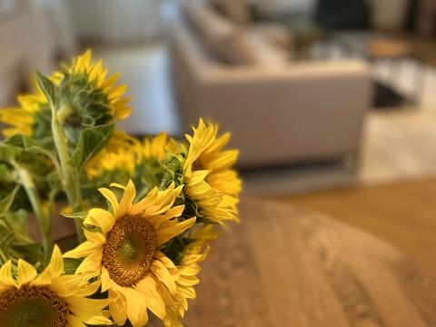 квартира за адресою Олександра Кониського вул., 28А-30А