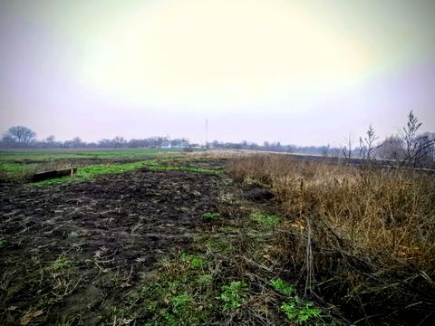 будинок за адресою с. Кривошиїнці, ковалівка 2