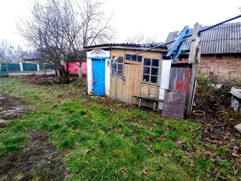 будинок за адресою с. Кривошиїнці, ковалівка 2