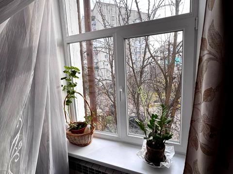 квартира за адресою Володимира Целуйка, 1