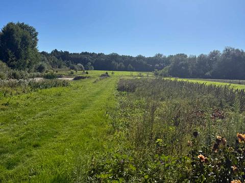 ділянка за адресою 