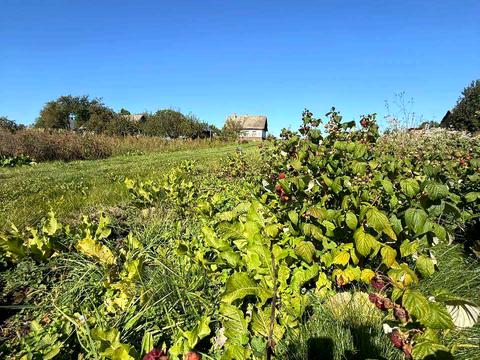 ділянка за адресою 