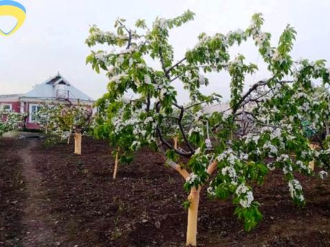 дом по адресу Пушкинина, 10