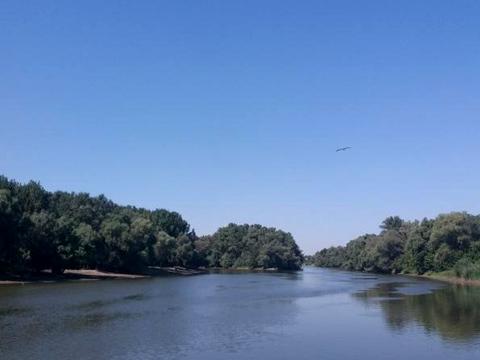 дом по адресу Пушкинина, 10