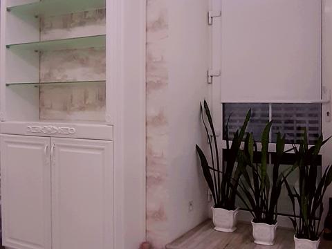 коммерческая по адресу Банковая ул., 19/11