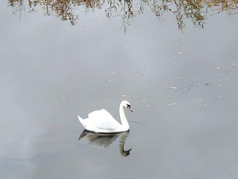 квартира за адресою Кременчуцька вул., 7