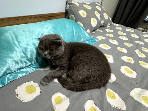 дом по адресу Богдана Хмельницкого ул.