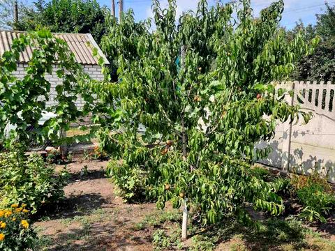 дом по адресу Куйбишева