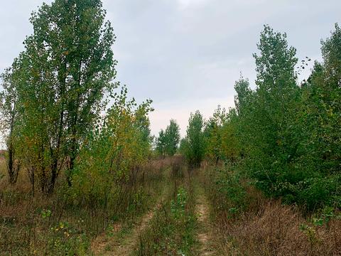 ділянка за адресою 