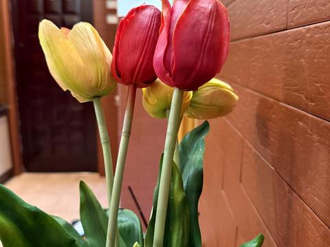 квартира за адресою Героїв 128-ї Бригади вул., 111