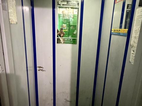 квартира по адресу Глібова ул., 7