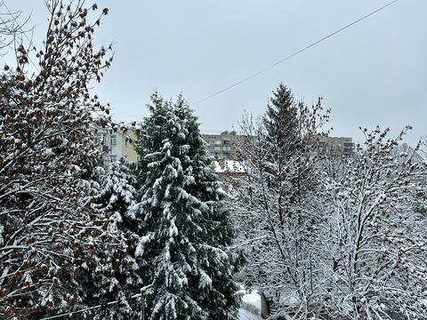 квартира за адресою Євгена Коновальця вул. (), 87