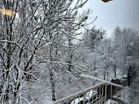 квартира за адресою Євгена Коновальця вул. (), 87