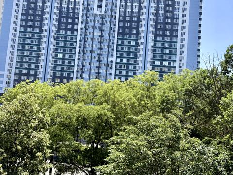 квартира за адресою Варненська вул., 25