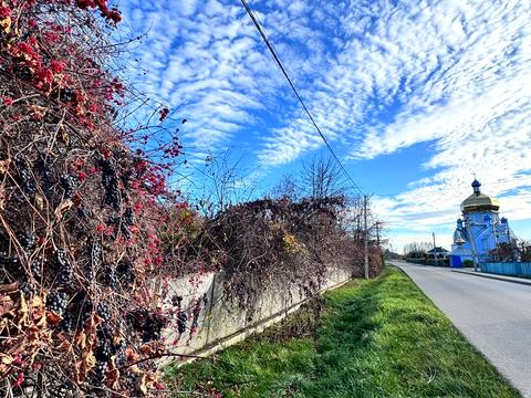 ділянка за адресою с. Братківці, незалежності