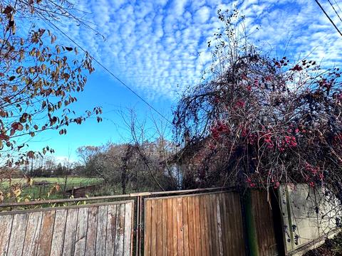 ділянка за адресою с. Братківці, незалежності