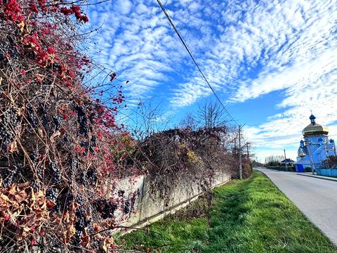 ділянка за адресою с. Братківці, незалежності