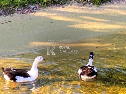 дом по адресу с. Вишенки, Золочивська