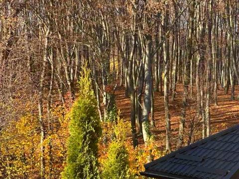 будинок за адресою Стешенка